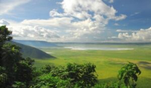 SERENGETI HOUSE OF NATURE  
