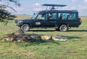 SERENGETI HOUSE OF NATURE  